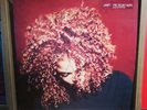 Janet Jackson - The Velvet Rope Vinyl LP Record