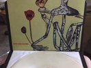 NIRVANA INCESTICIDE German 180g Limited Transluscent Vinyl VG++ CONDITION