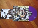 THE DESERT SESSIONS VOL III & IV LP PURPLE VINYL QOTSA EAGLES OF DEATH METAL
