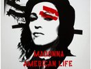 Madonna - American Life - Sealed Vinyl LP + Free Picture Disc Of Celebration
