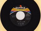 Dee Dee Sharp  45  WHAT KIND OF LADY /  YOU'RE GONNA MISS ME(When I'm Gone) VG++