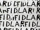 FIDLAR Fidlar LP Vinyl NEW 2012