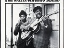 JOHNNY YOUNG & BIG WALTER - Chicago Blues - 1968 France LP Arhoolie