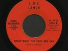 Starday Custom Country Bop 45   Homer Briarhopper   LRC Lamon   Listen