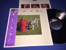 RUSH   SIGNALS   JAPAN OBI   1982 1ST PRESS   INSERT BOOKLET   TOP SHELF   NM/M-