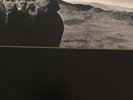 U2 The Joshua Tree Vinyl