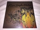 STONE TEMPLE PILOTS with CHESTER BENNINGTON HIGH RISE  10
