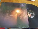 SENSES FAIL RENACER PURPLE LP BAYSIDE A DAY TO REMEMBER THRICE COHEED / CAMBRIA