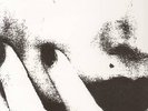 CICCONE YOUTH - THE WHITEY ALBUM NEW VINYL