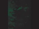 OTHER LIVES/ATOMS FOR PEACE - TAMER ANIMALS/OTHER SIDE NEW VINYL