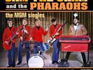SAM THE SHAM & THE PHARAO - MGM SINGLES...PLUS NEW VINYL