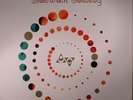 SIDEWALK SOCIETY - Strange Roads: The Songs Of Rolled Gold - Vinyl (LP)