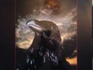 THE STRANGLERS - The Raven - 1981 Vinyl LP +Lyrics 1st Press LBG30262 A1U/B1U Ex