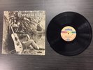 Bill Staines - 1972 Vinyl LP - RARE Folk Psych Rock - Evolution Records 3012