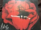 The Smashing Pumpkins - Adore 2 LP Vinyl Record MONO