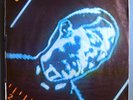 ROLLING STONES EMOTIONAL RESCUE SEALED ORIGINAL 1981 LP w/POSTER STUNNING