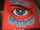 Teenage Bottlerocket Discography Boxset Clearview Fat Nofx Lillingtons Box Set
