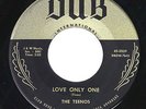 THE TEENOS - LOVE ONLY ONE - NM RARE DOO WOP DUB LABEL 45  HEAR IT  LISTEN