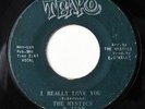 THE MYSTICS-I REALLY LOVE YOU /THAT'S THE KIND OF LOVE ON TEAKO RARE FUNK 45-HEA