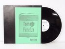 TEENAGE FANCLUB B-Sides & Rarities LP Vinyl Rare Promo howdy grand prix