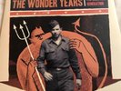 Two The Wonder Years Vinyls