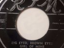 RARE POPCORN BLUES 45/ JIMMY NELSON 