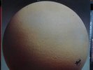 EGG The Civil Surface UK 1st Press CAROLINE 1974 LP EX