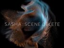 Sasha-Late Night Tales Presents Sasha : Scene Delete  (UK IMPORT)  VINYL NEW