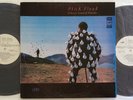 RARE PINK FLOYD 2 LP / 1990 RUSSIAN PRESS MELODYIA  / DELICATE SOUND OF THUNDER