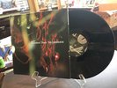 MOUNTAIN GOATS Tallahassee Lp Vinyl Record Album