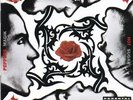 Blood Sugar Sex Magik [VINYL] Red Hot Chili Peppers Vinyl