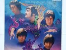 The Turtles ?– Turtles' Golden Hits --  1967 Rarest Aus.Press NM/Mint Vinyl LP