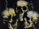 Skull Snaps - Skull Snaps