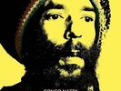 Congo Natty - Jungle Revolution In Dub NEW LP