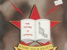 THE CLASH - KNOW YOUR RIGHTS - AUSSIE PIC SLEEVE - 7