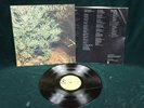 SD 36-106 Roxy Music - Country Life Presswell NM/NM J:NM