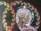 Tool Lateralus Vinyl