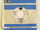 DION DI MUCI  PROMO 45 NORTHERN SOUL MOD DANCER BERIBAU/MY GIRL THE MONTH OF MAY