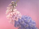 FLUME - Skin - Vinyl (coloured vinyl 2xLP + MP3 download code)