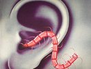 THEE OH SEES - An Odd Entrances - Vinyl (LP + insert + MP3 download code)