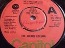 THE WORLD COLUMN   SO IS THE SUN ** 1969 CAPITOL 45 DEMO