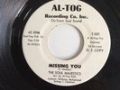 Soul Majestics - Missing You - DJ Copy AL-TOG 001