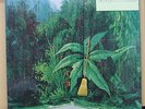 Vinyl LP Records SR-600 Gabor Szabo ?– Magical Connection (Japan)