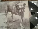 Alice In Chains Self Titled (Three Legged Dog) Vinyl LP, original 1995 pressing
