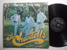 THE CHANTELLS Waiting In The Park PHASE ONE  LP Roots Reggae Steppers HEAR H47