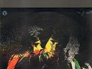 IVAN GRAZIANI - ballata per 4 stagioni LP