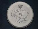 MARTIN CHAMBERS PRETENDERS MOTT THE HOOPLE SIGNED DRUMHEAD