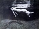 Bill Evans / Jim Hall - Undercurrent Vinyl LP