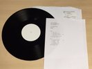 STONE TEMPLE PILOTS ?– CLEAN AND DIRTY (RARE VINYL TEST PRESSING)