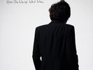 Peter Perrett - How the West Was Won